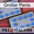 Großer Penis 20